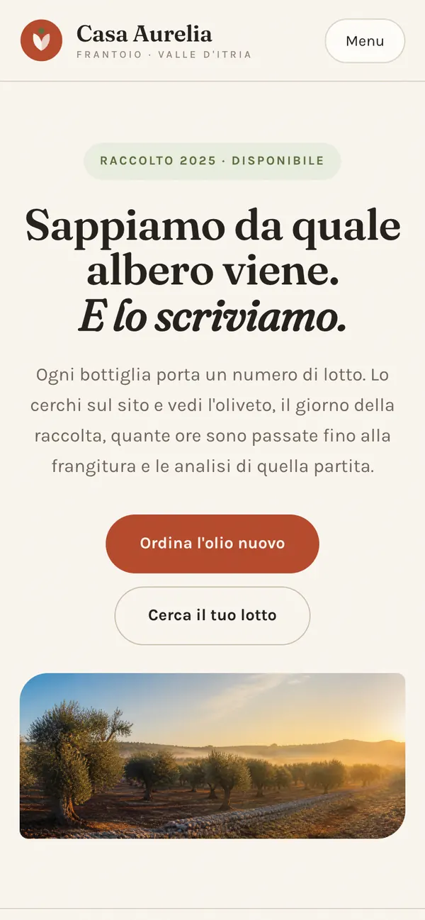 La stessa home da telefono